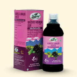 Karela Jamun Juice with Neem Giloy