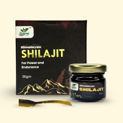 Himalayan Shilajit - 20gm